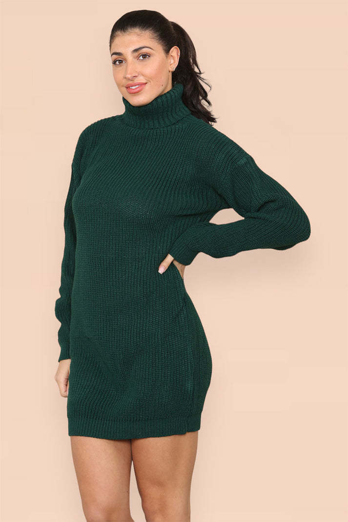 Polo Roll Neck Florescent Chunky Sweater Jumper Dress