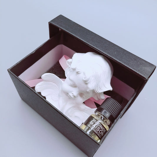 Car Scent Gift Box