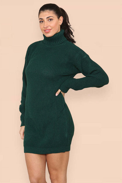 Polo Roll Neck Florescent Chunky Sweater Jumper Dress