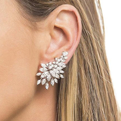 Fashion Earrings